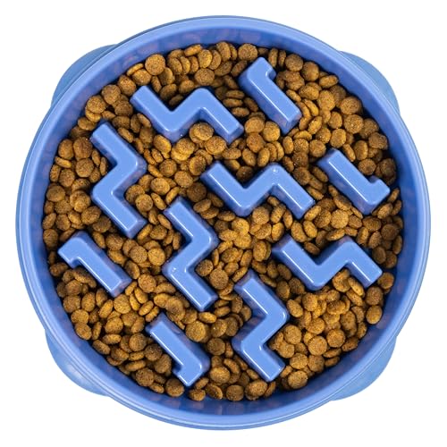 Outward Hound Fun Feeder Slo Bowl (Large)