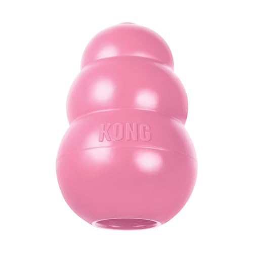 KONG Puppy Teething Chew (Small, Pink)