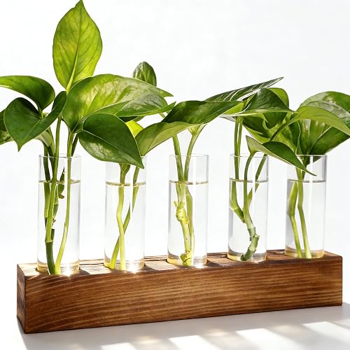 Renmxj Plant Propagation Station