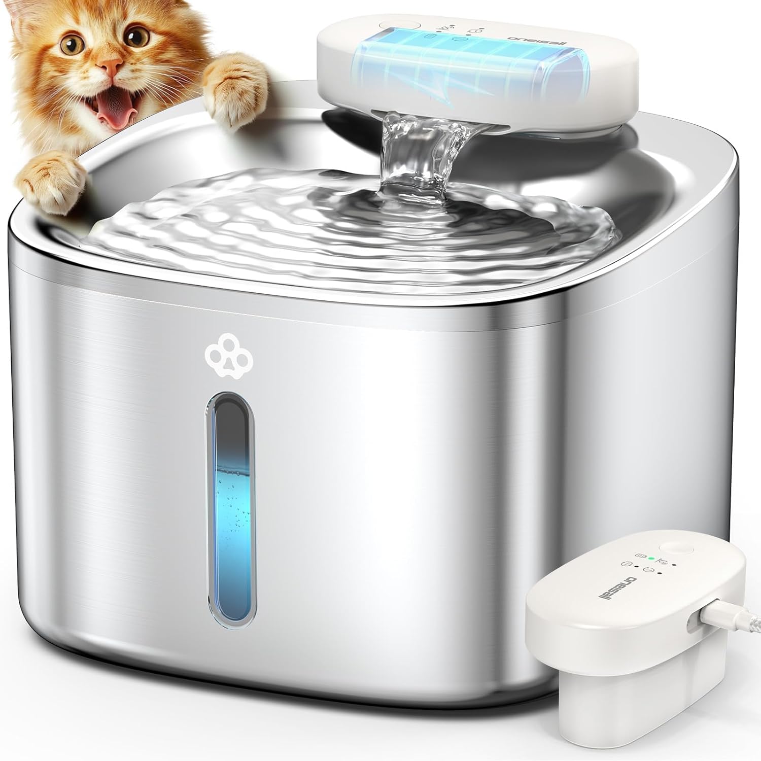 Cat Water Fountain
