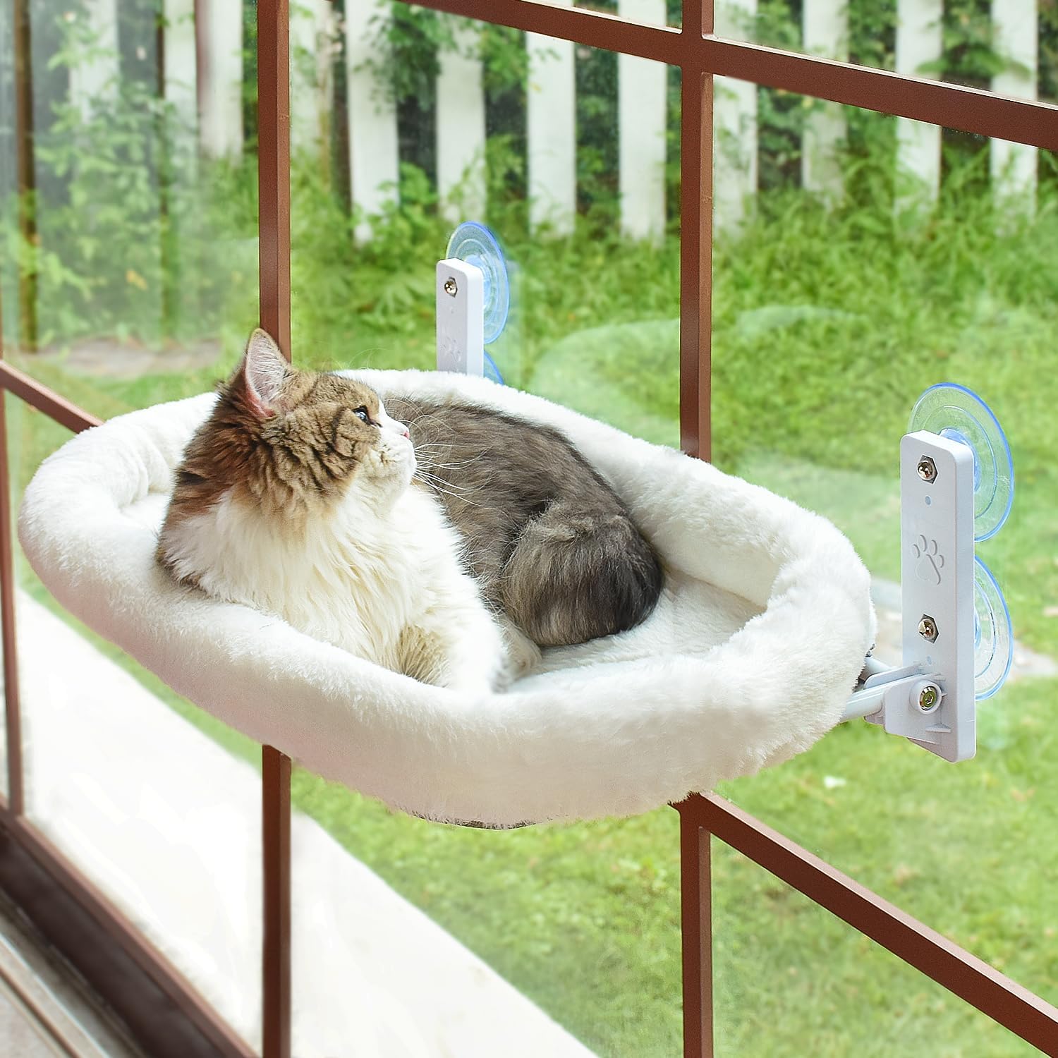 Window Perch Cat Bed