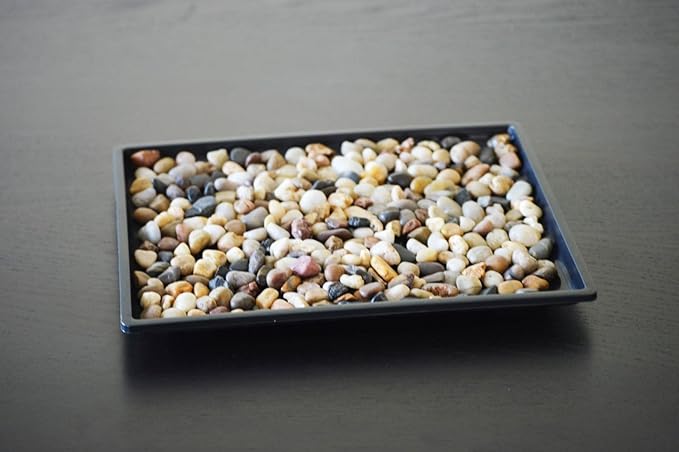 Humidity Trays with Pebbles (6-Pack)