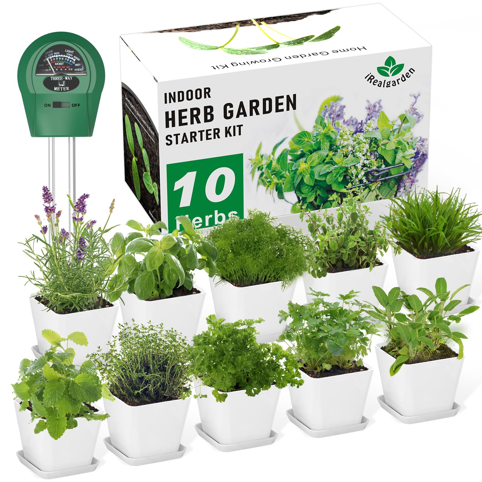 Herb Planter / Indoor Herb Kit
