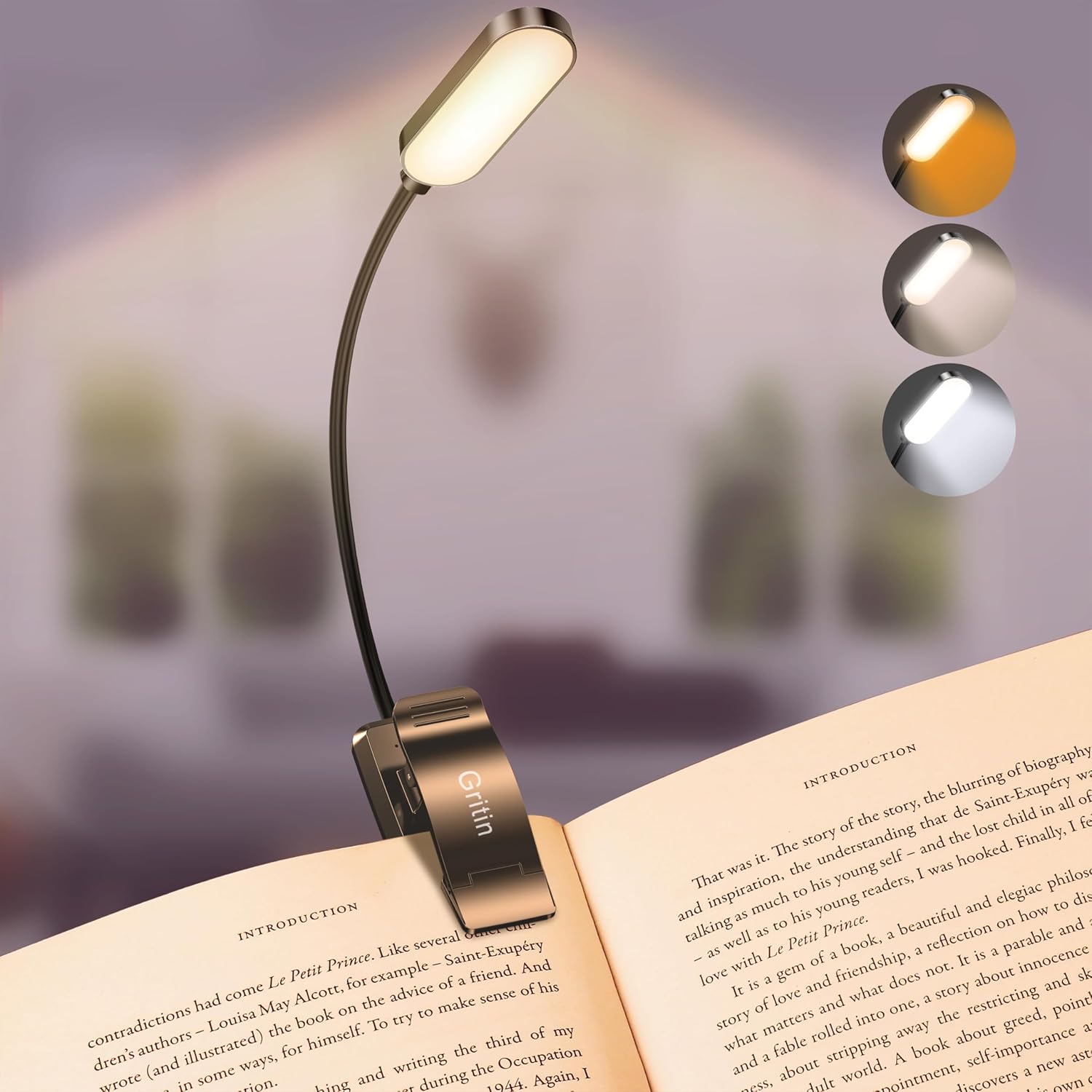 LED Book Light